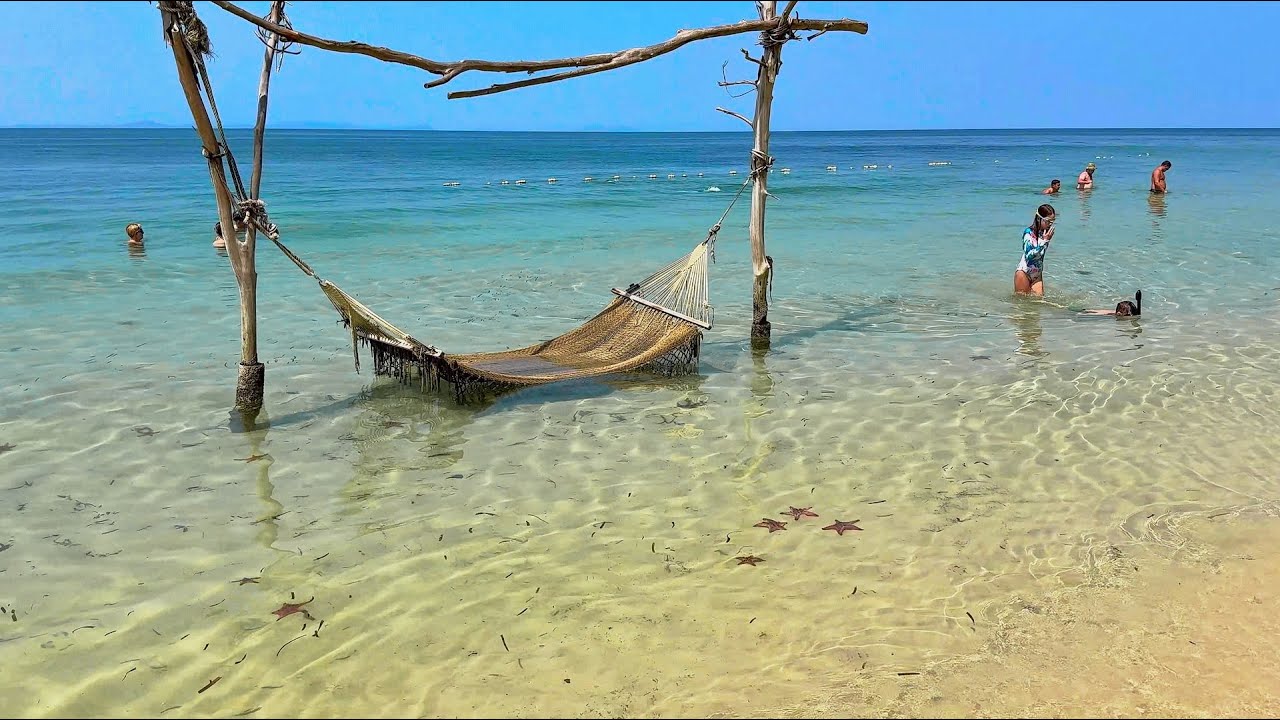 ☀️🌊🌴🇻🇳 Starfish Beach - Phú Quoc Vietnam 🇻🇳🌴🌊☀️31.01.2026