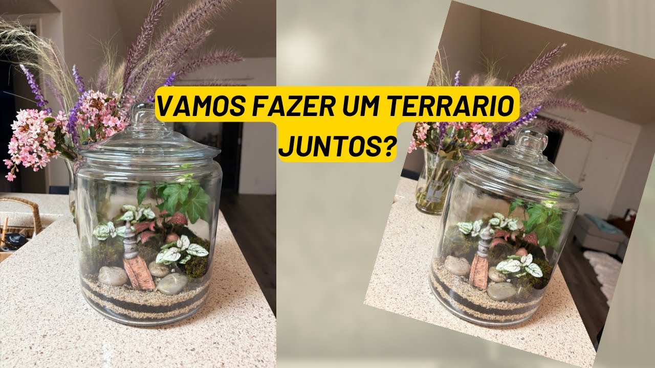 Vamos fazer um terrário juntos?
