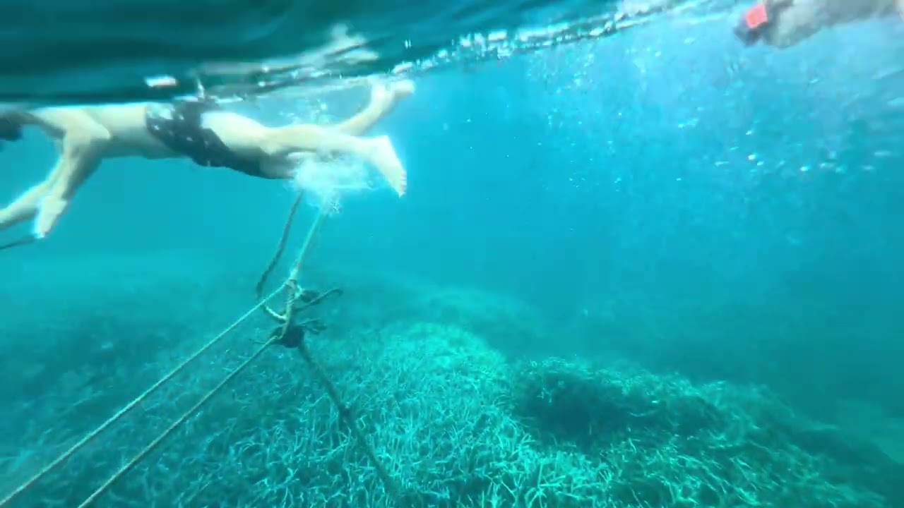 Fish Sanctuary, Coron Palawan