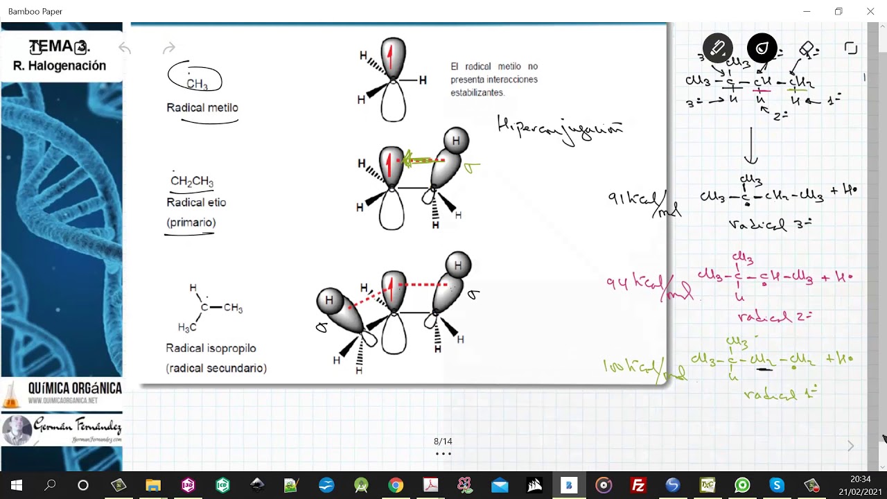 TEMA 3. R. HALOGENACIÓN | 3.3. ESTABILIDAD DE RADICALES