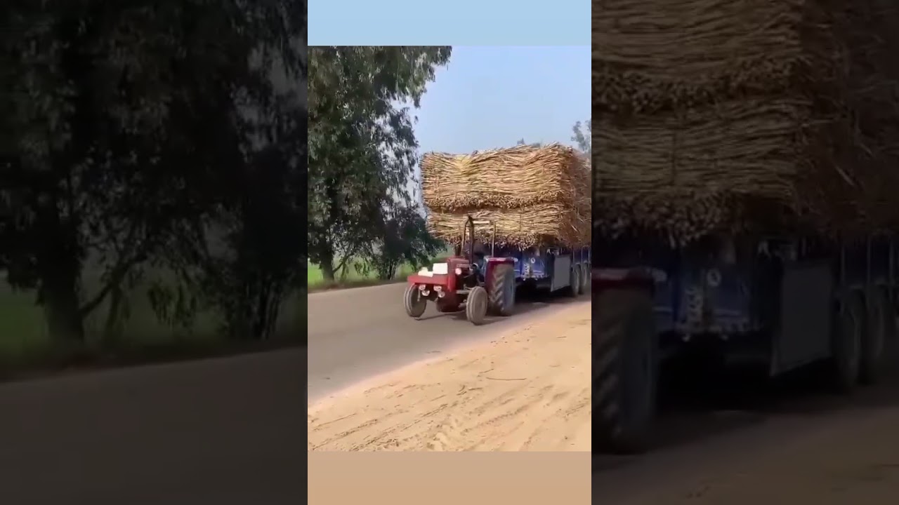 Massive tractor over loaded😮😱 ganna #overlanding #trali #massive