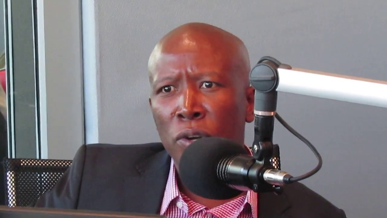 Julius Malema clarifies land grab comments and land ownership debate