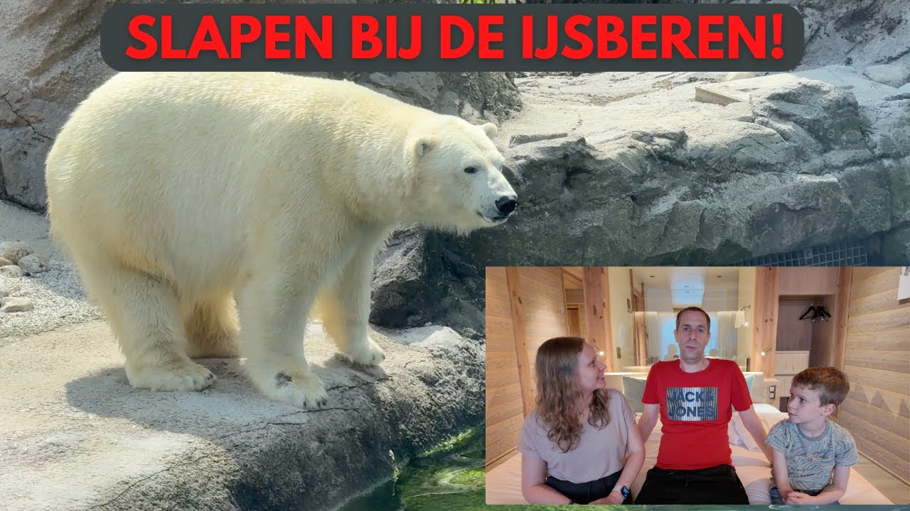 SLAPEN NAAST DE IJSBEREN IN PAIRI DAIZA!