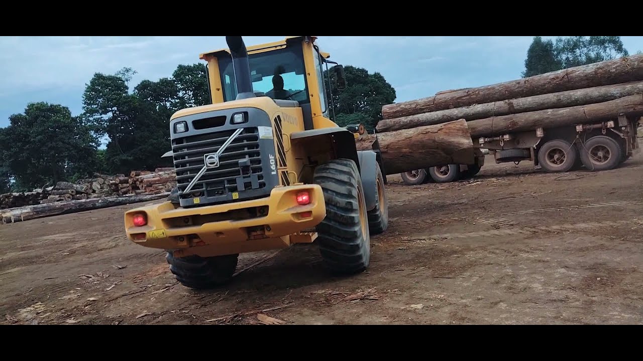 . descarregamento de tora pleno domingão, volvo L60F / operadores JUARA,MT 