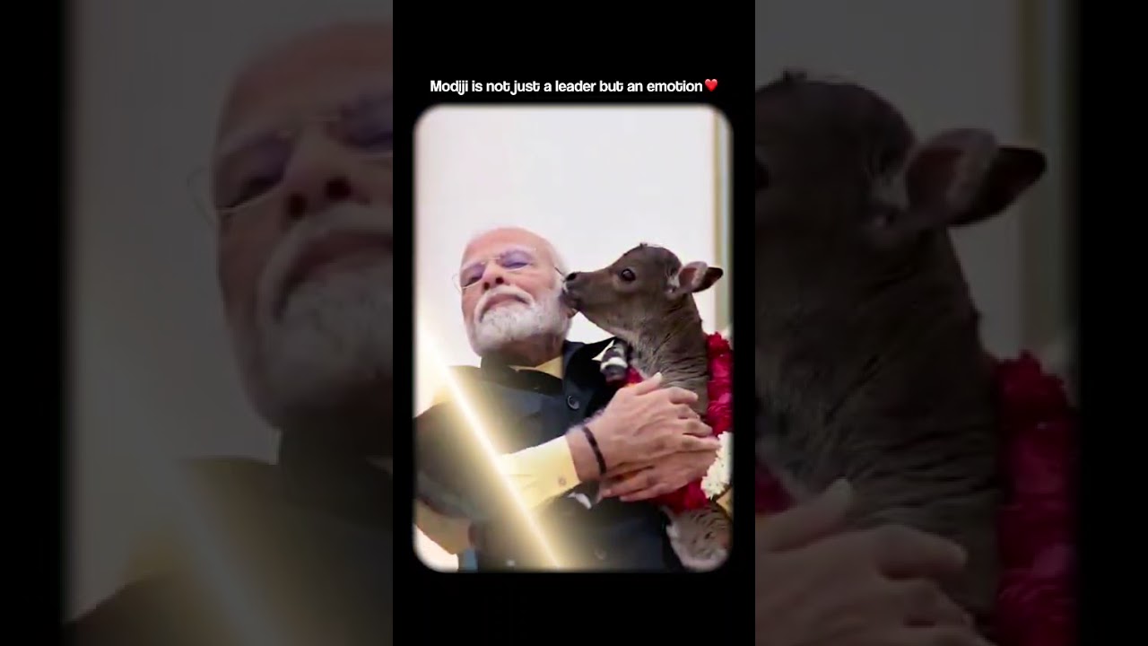 Modi Ji Is Not Just a Leader, He Is an Emotion