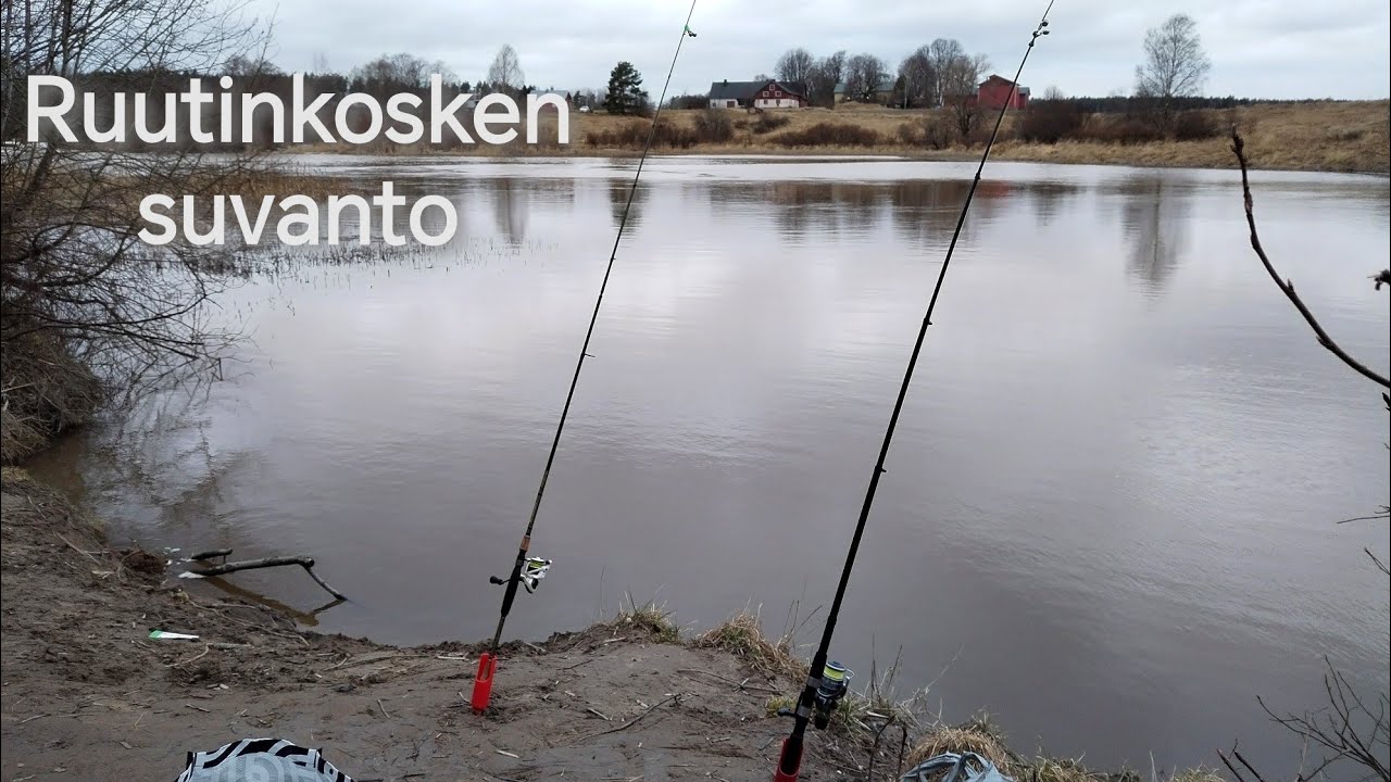 Pohjaongitaan madetta Vantaanjoella - yll&auml;tys saalis