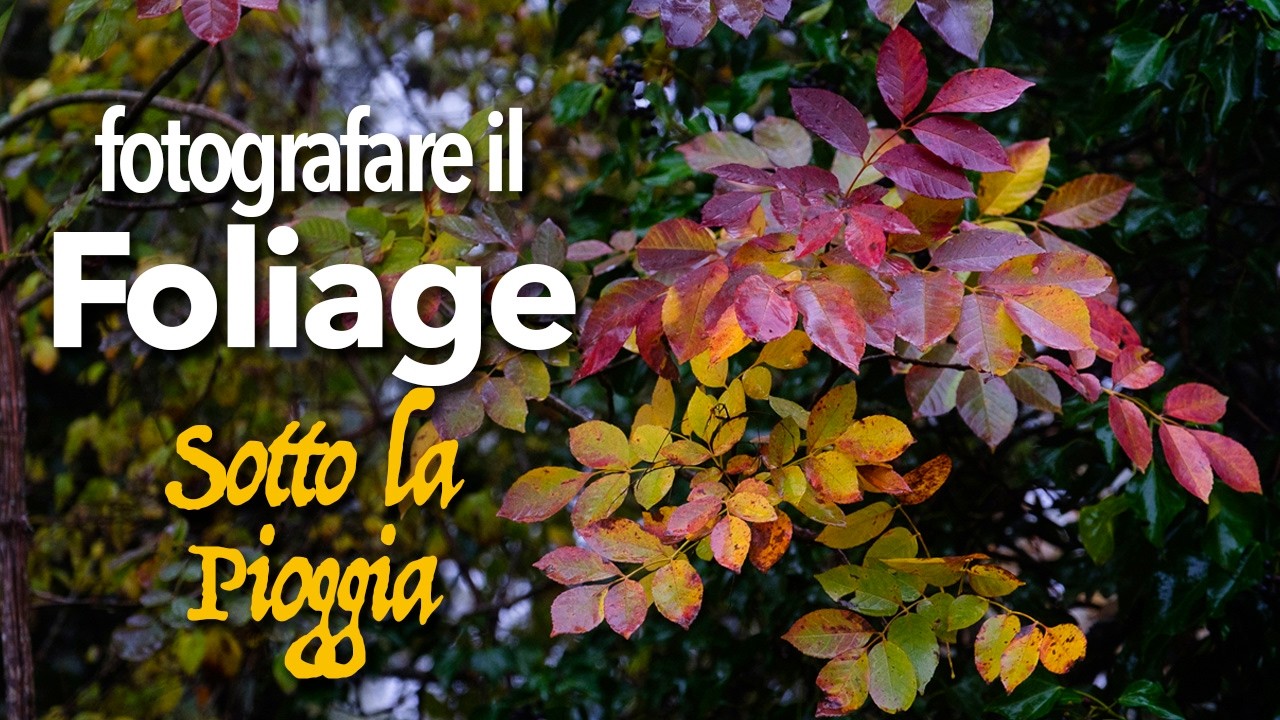 Fotografare il foliage - pioggia, freddo e vento forte... che emozione