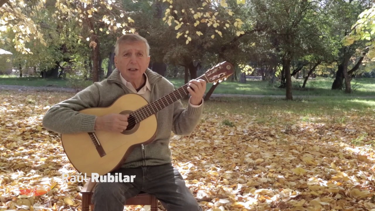 PLV | Raúl Rubilar | Con mi Guitarra Querida (Tonada)
