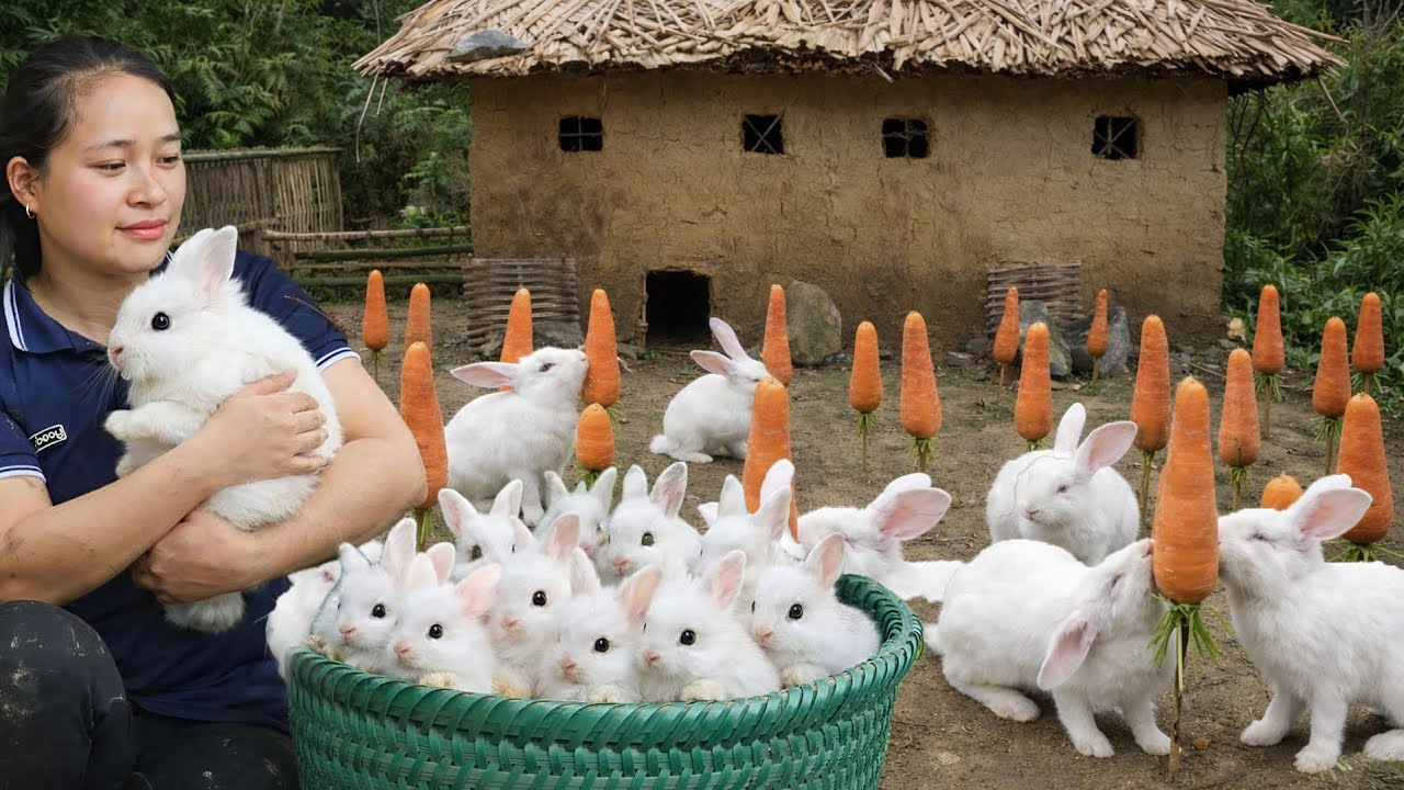 Building a Farm with Rabbits, Ducks, Pigs, Goats, and a Thriving Garden