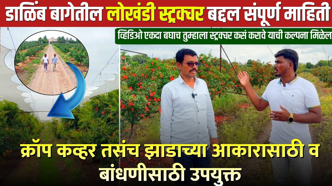 डाळिंब बागेतील लोखंडी स्ट्रक्चर बद्दल संपूर्ण माहिती | व्हिडिओ एकदा बघाच | #protectedcultivation 