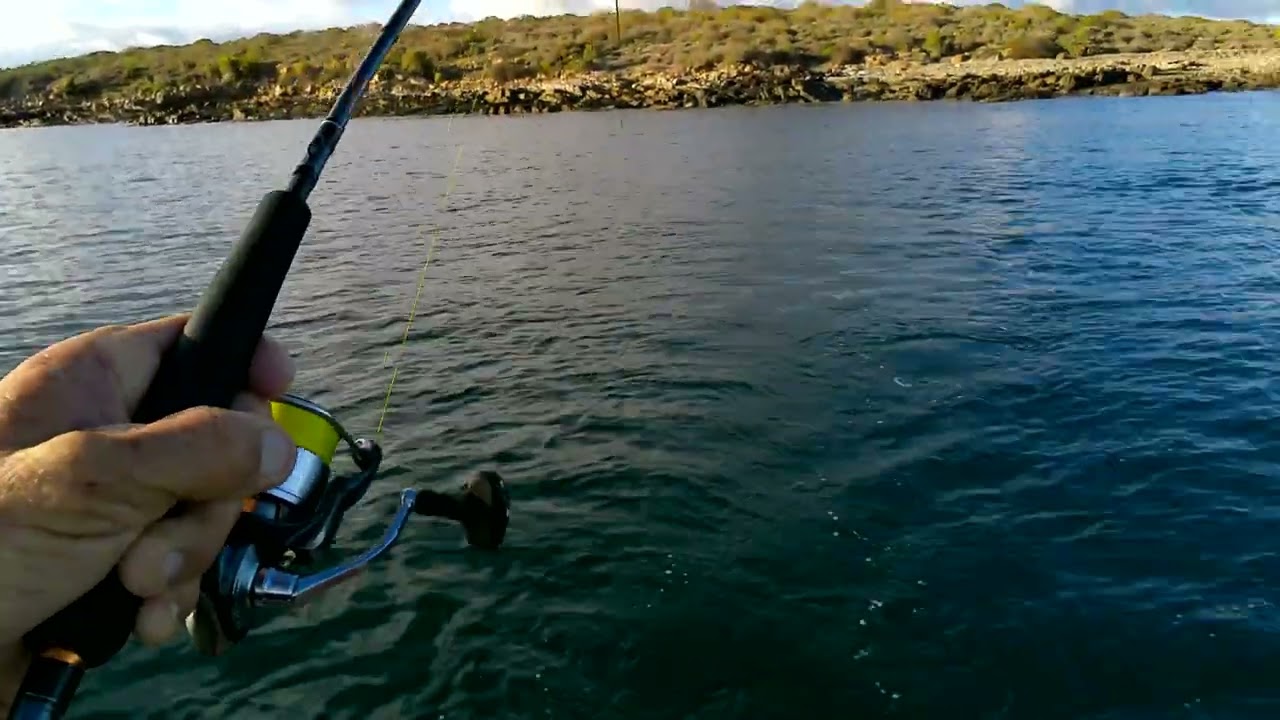trolling and casting for salmon port lincoln boston bay