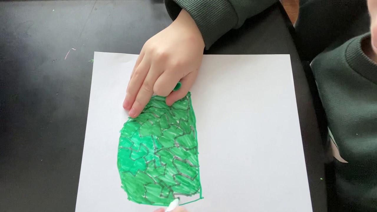 How to draw a turtle kids drawing tutorial how to