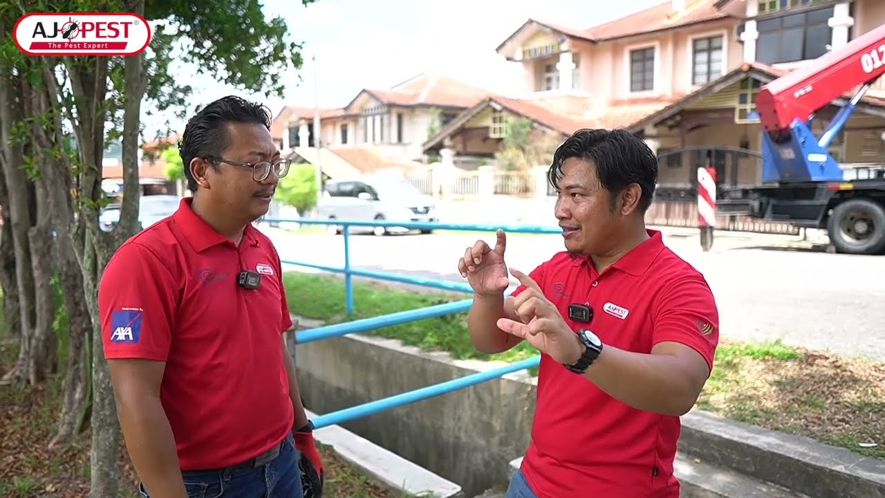 CARA 'PEST CONTROL' SELESAIKAN MASALAH BURUNG YANG BERSARANG DI KEDIAMAN RUMAH