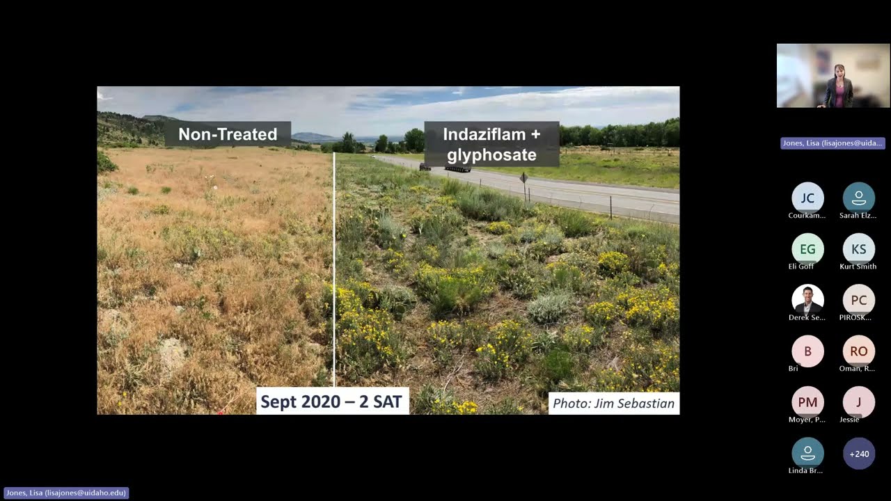New Invasive Annual Grass Research Updates: A Webinar for Land Management Practitioners