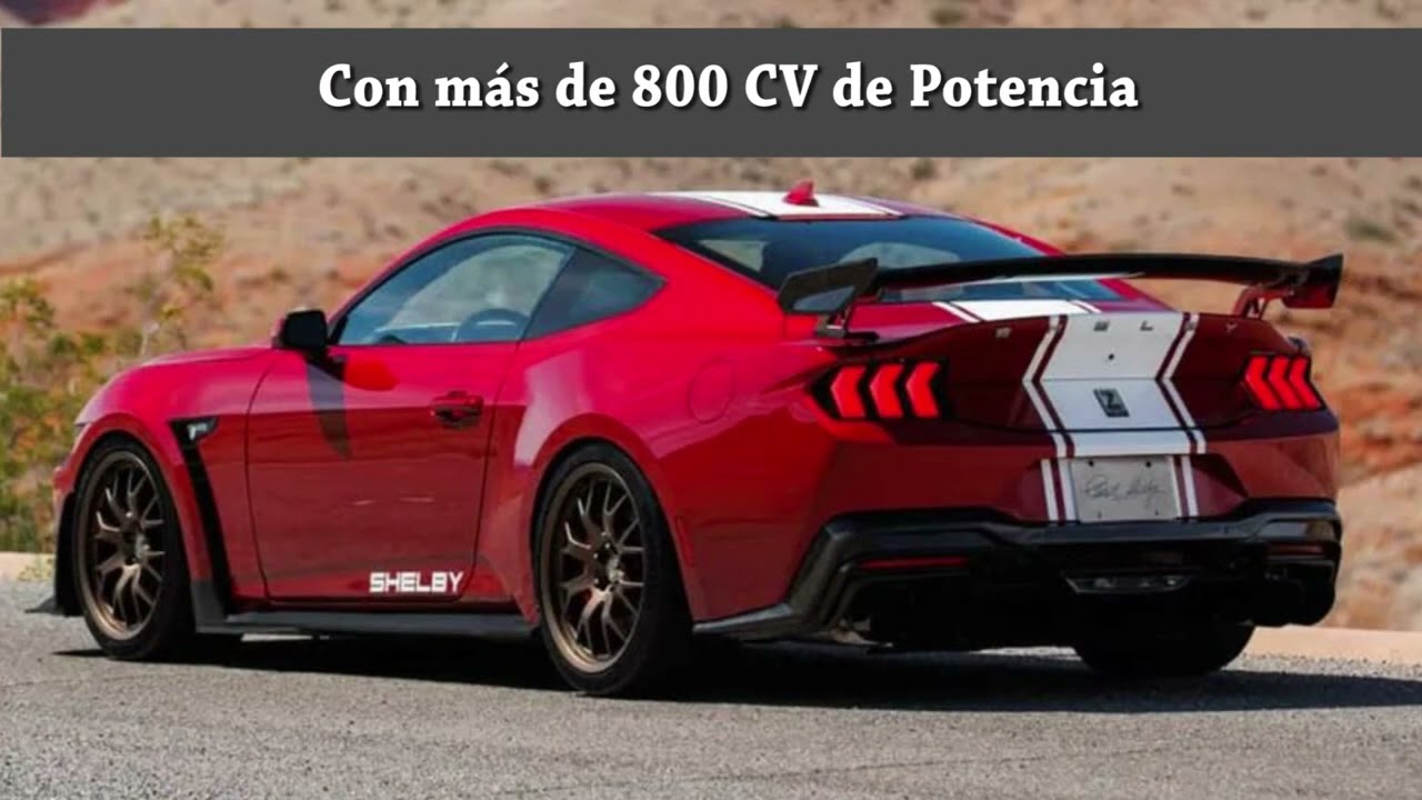 Shelby Super Snanke 2024