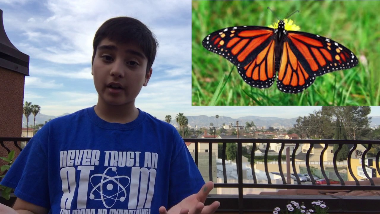 Nature's Survival Show! (Spoiler: It's fooling you) (Science Vlogs #3) (The Science Kids Biology #9)