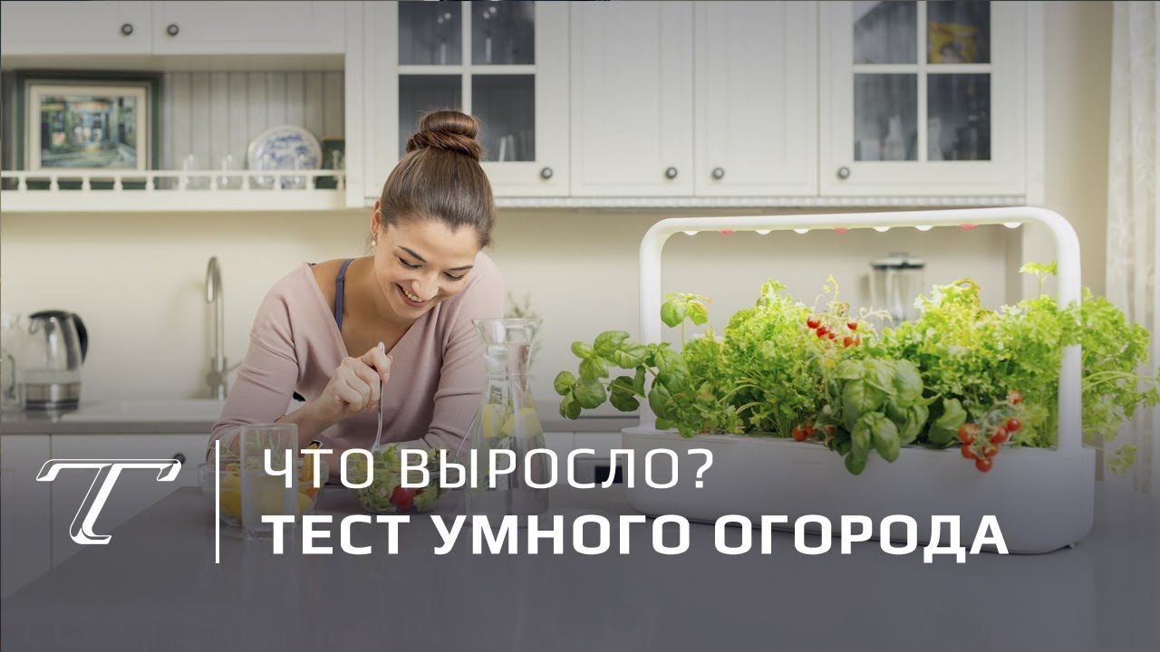 Обзор умного огорода Сlick & Grow