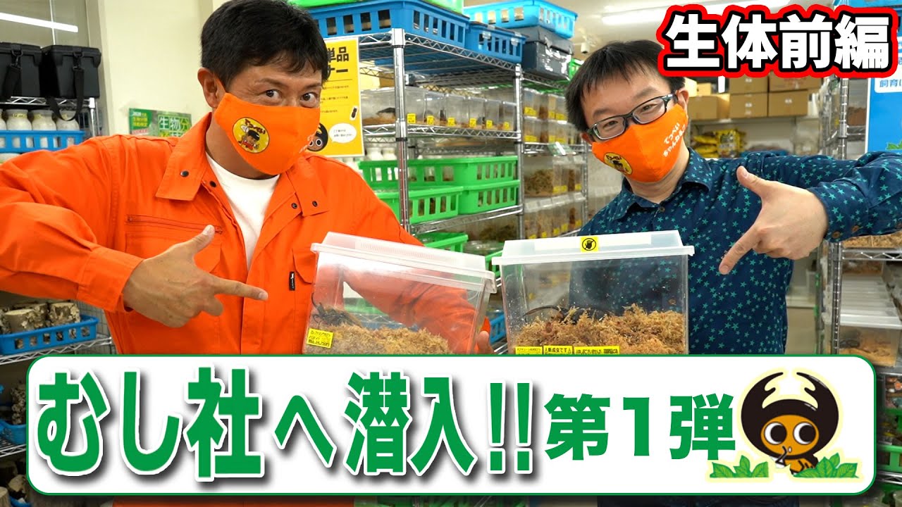 むし社へ潜入！！第１弾【生体前編】