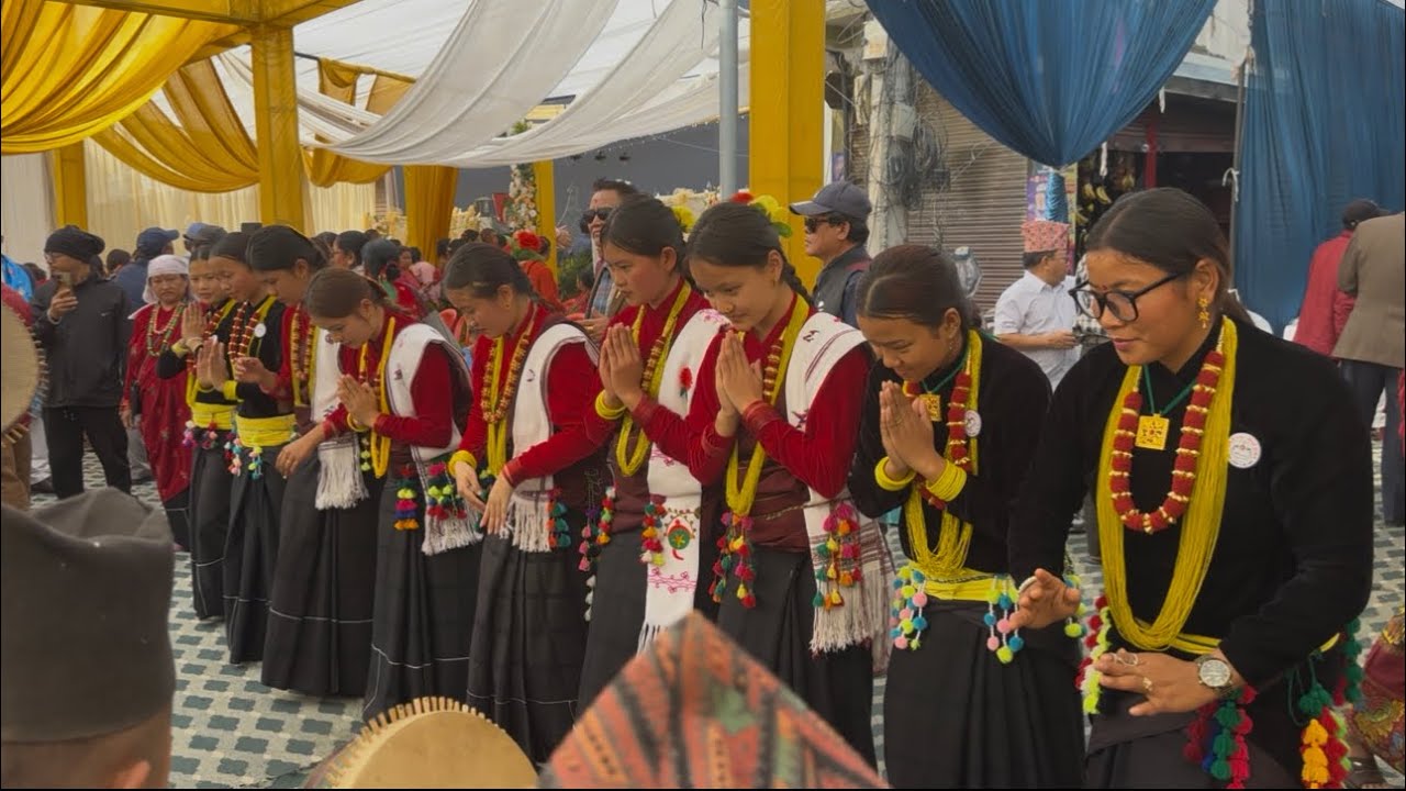 चित्रेलि कौडा बुटवल मा अचम्मै रमाईलो हेरेर मनरन्जन लिनु होला है!