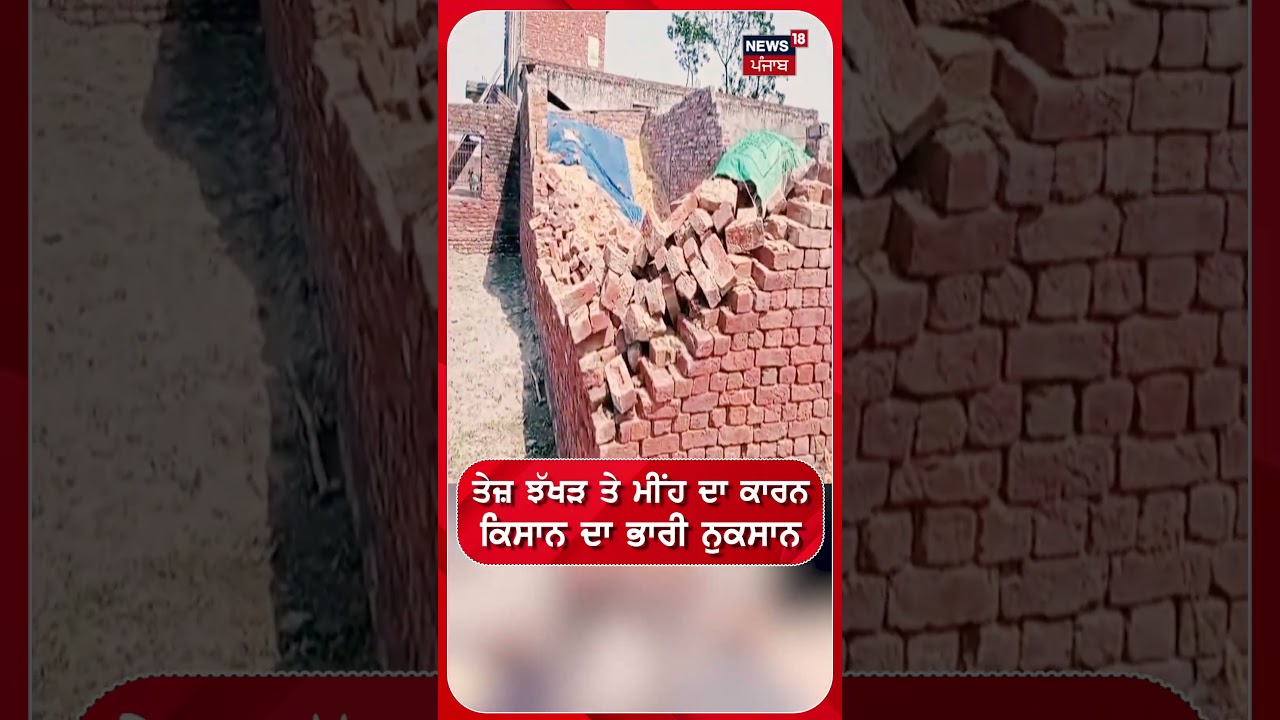 ਤੇਜ਼ ਝੱਖੜ ਤੇ ਮੀਂਹ ਦਾ ਕਾਰਨ ਕਿਸਾਨ ਦਾ ਭਾਰੀ ਨੁਕਸਾਨ #shorts |N18S