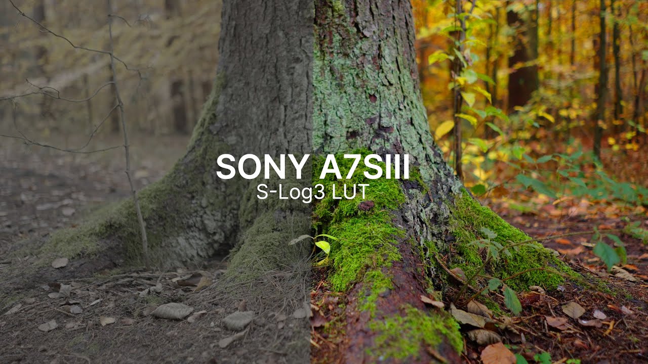 Sony A7S III S-Log 3 LUT