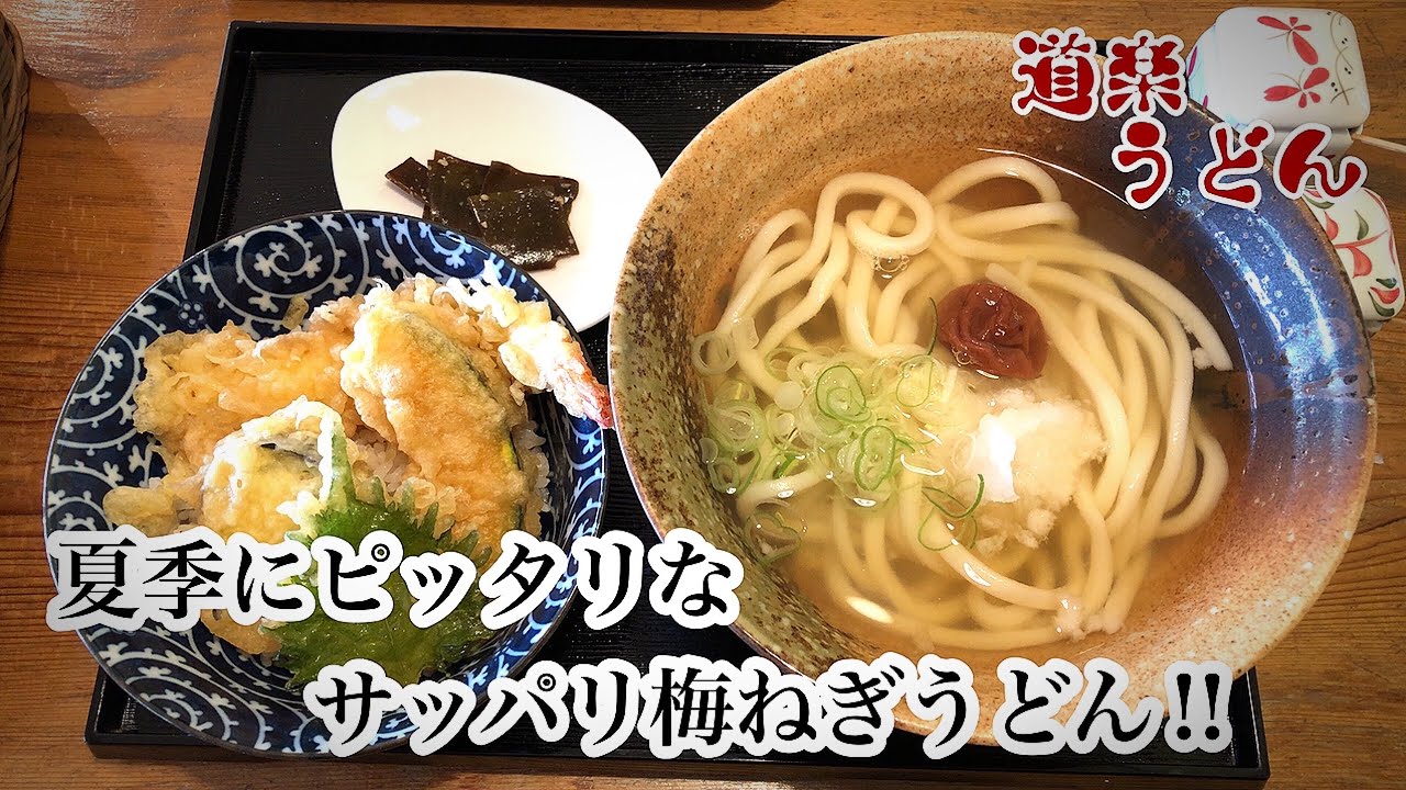 【大分グルメ】大分市坂ノ市の穴場スポット！夏季にピッタリなサッパリ梅ねぎうどん‼︎【道楽うどん】