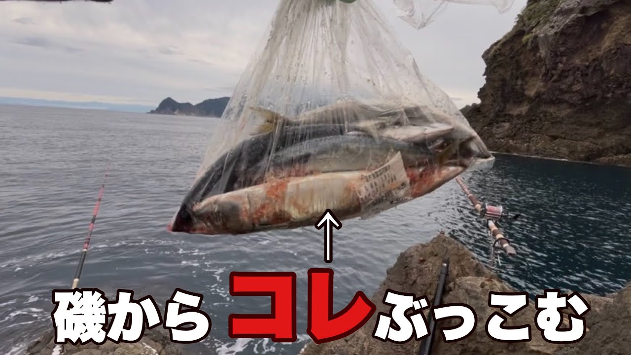 【小林さんが行く！第58話】超大物の潜む磯に売れ残りのサバをぶっ込むと…