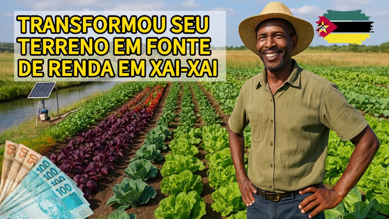 De Motorista a Agricultor: Como Transformou um Terreno em Fonte de Renda em Xai-Xai!