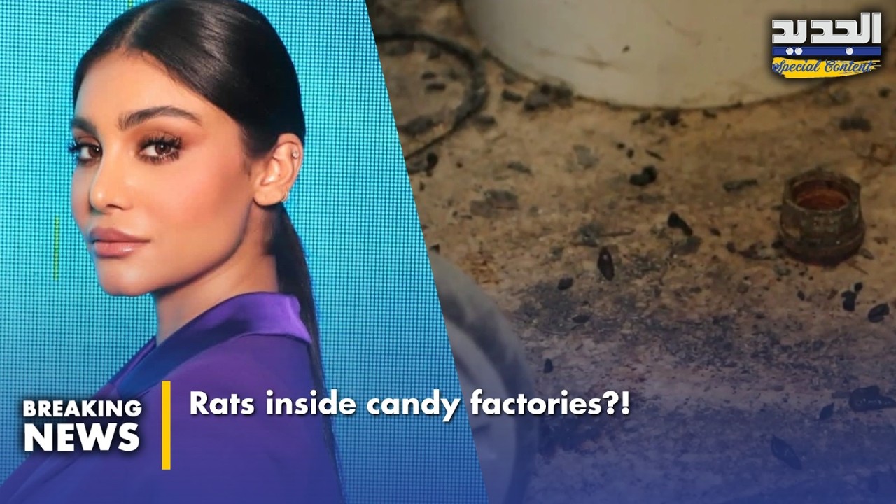 حشرات داخل معمل كبيس شهير !-Insects inside a famous pickles factory