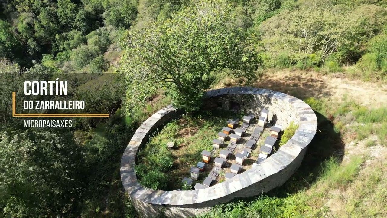 Micropaisajes en Ribeira de Piquín, Terras de Burón.