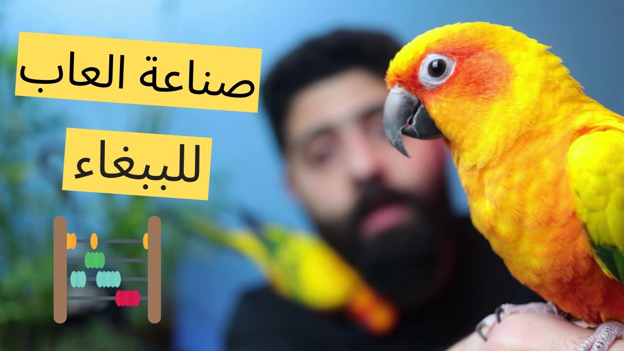 كيفية صناعة العاب للببغاء لتجنب تكسيير الاعشاش #منير_ليث
