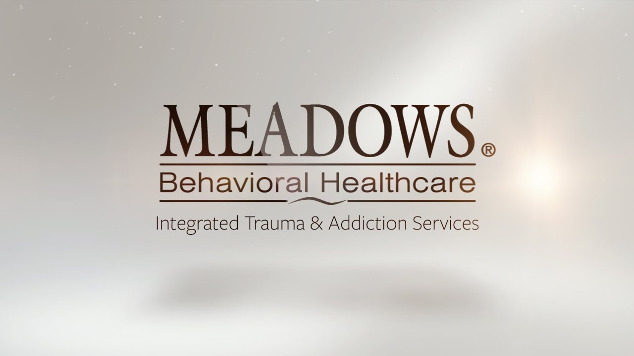 The Meadows Culture 2020