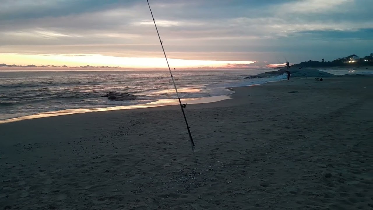 Entradas agotadas , fiebre de corvina en costa de oro !!!