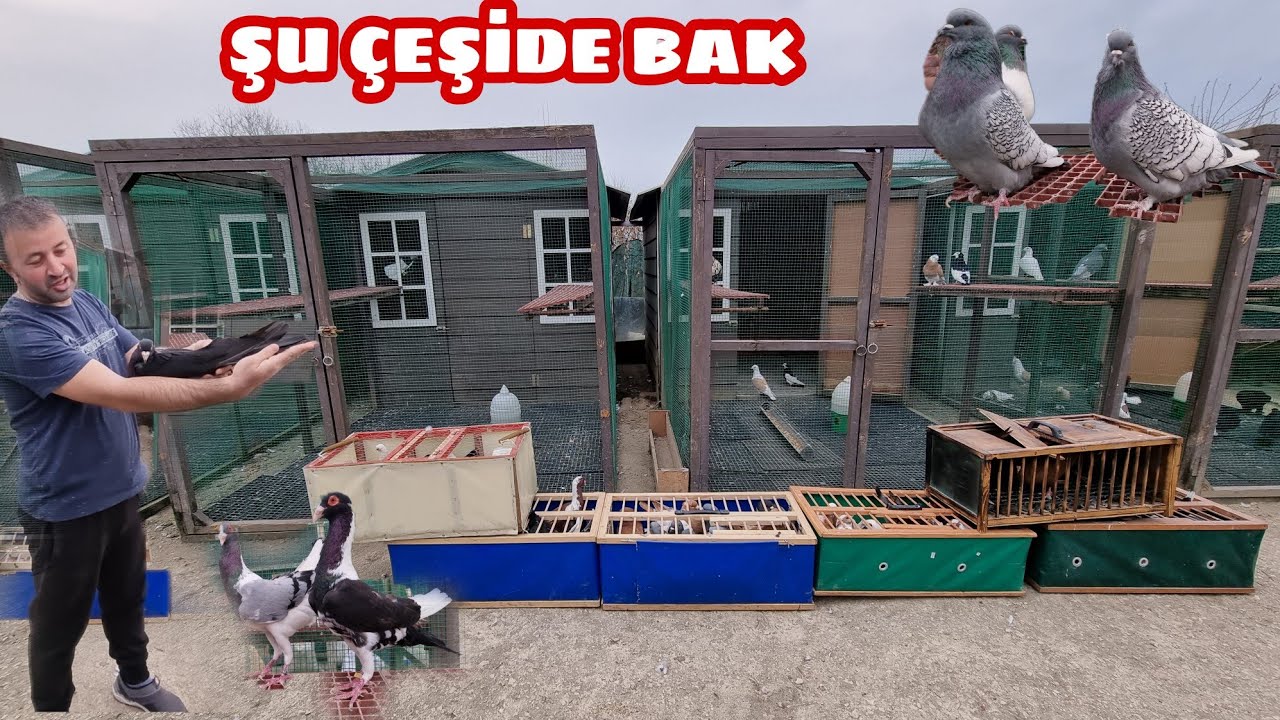 KALP ATIŞLARINIZI DEĞİŞECEK TÜRKİYE NİN EN PAHALI KUTU AÇILIMI  FERHAT ÖZTÜRK FARKIYLA