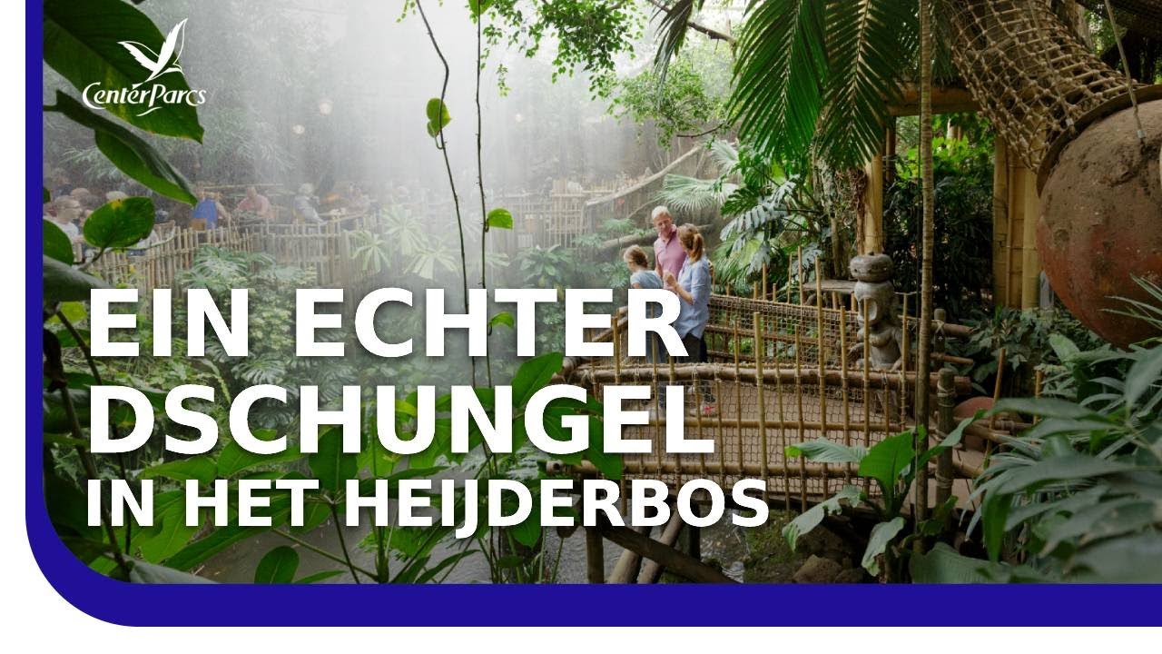 Ferienpark Center Parcs Het Heijderbos entdecken – Sommerlicher Urlaub in Holland am Wasser