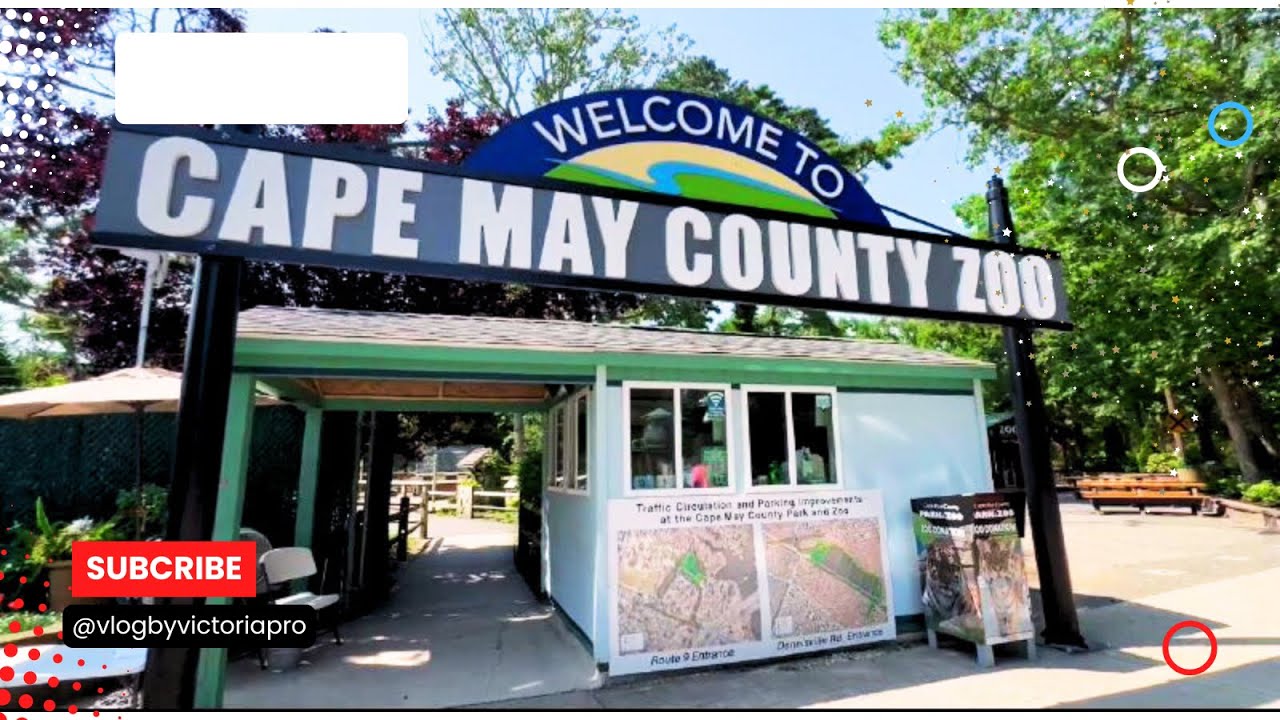 Exploring Cape May County Park & Zoo | The Only FREE Zoo in NJ! @vlogbyvictoriapro
