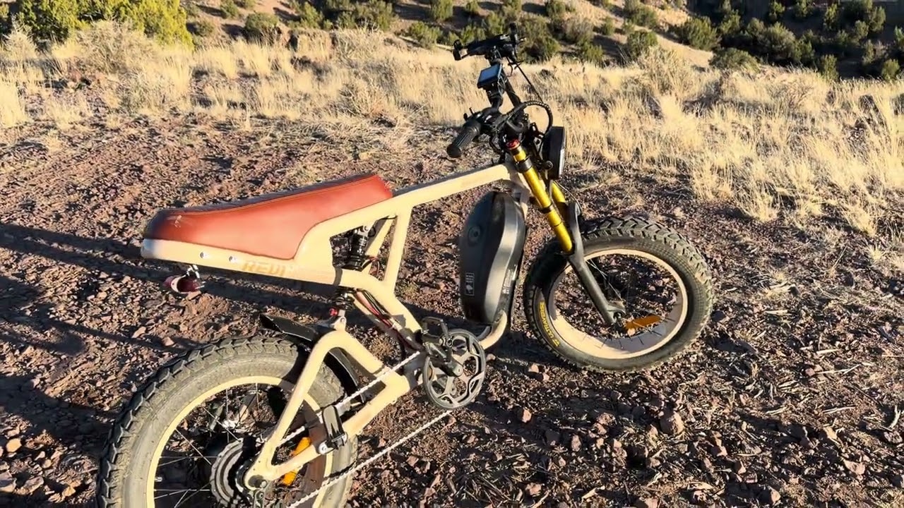 REVI BIKES COUGAR E-BIKE: 6 MONTH REVIEW (and customizations)