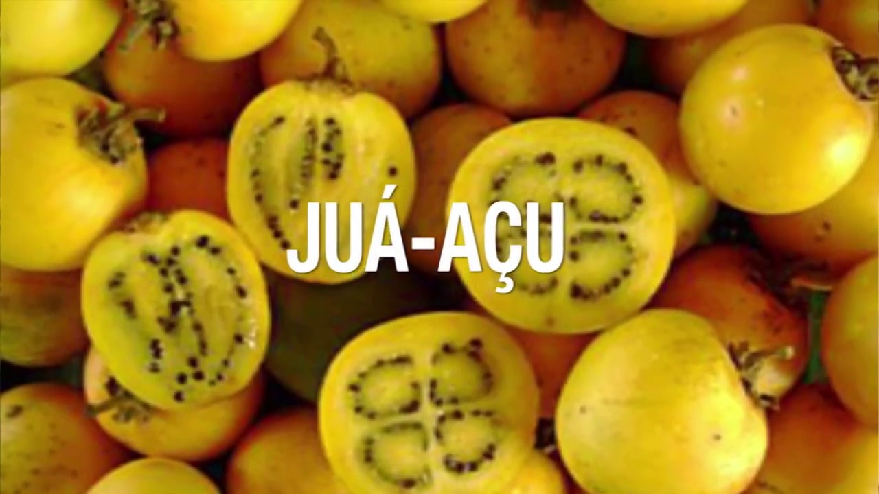 Juá-açu apresentado por Helton Josue para Thiago Supino no Sitio Frutas Raras