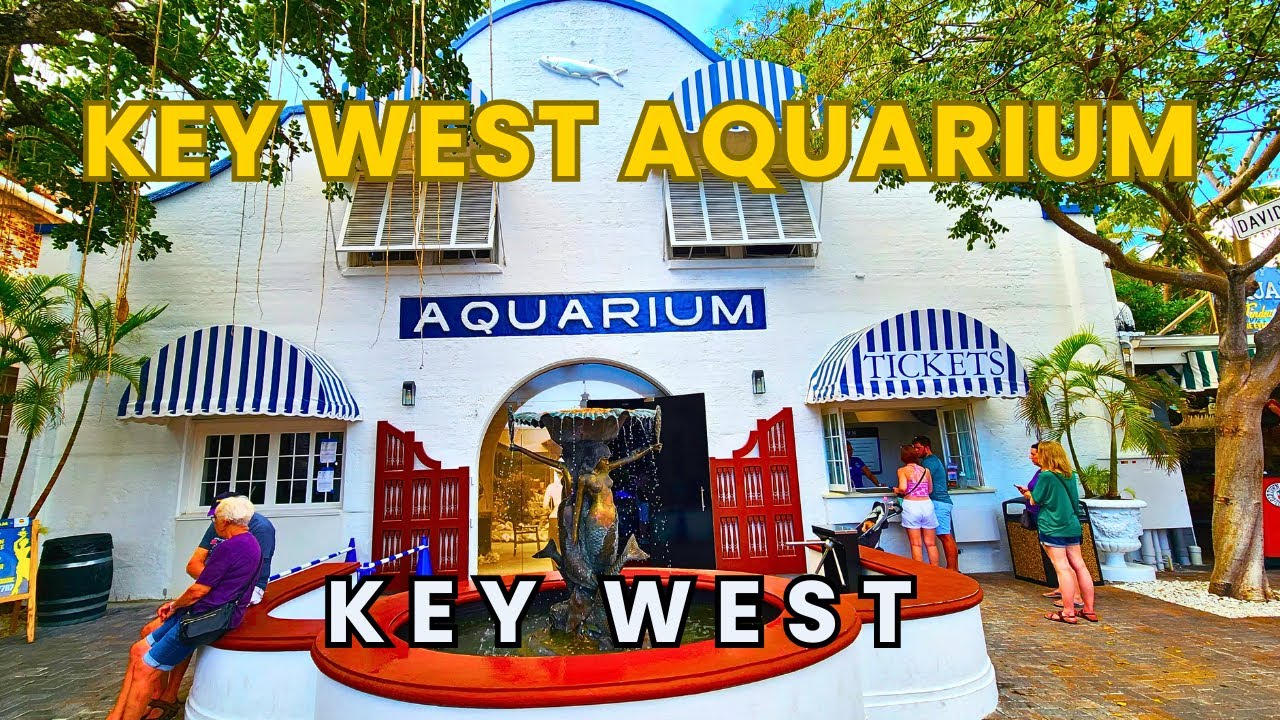 Exploring Key West Aquarium Florida Full Tour