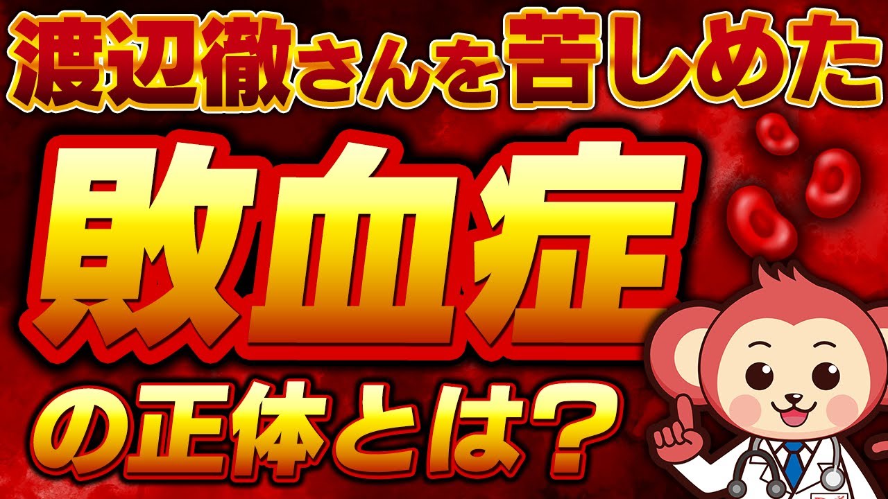 【全国民に見て欲しい】敗血症の正体を医師監修で分かりやすく解説