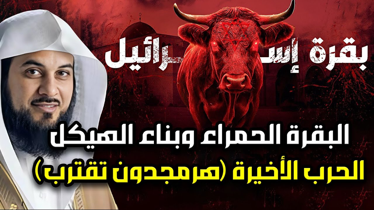 ظهور البقرة الحمراء في إسرائيل 🐄🔥 هل اقترب بناء الهيكل الثالث وبدأت نهاية العالم؟