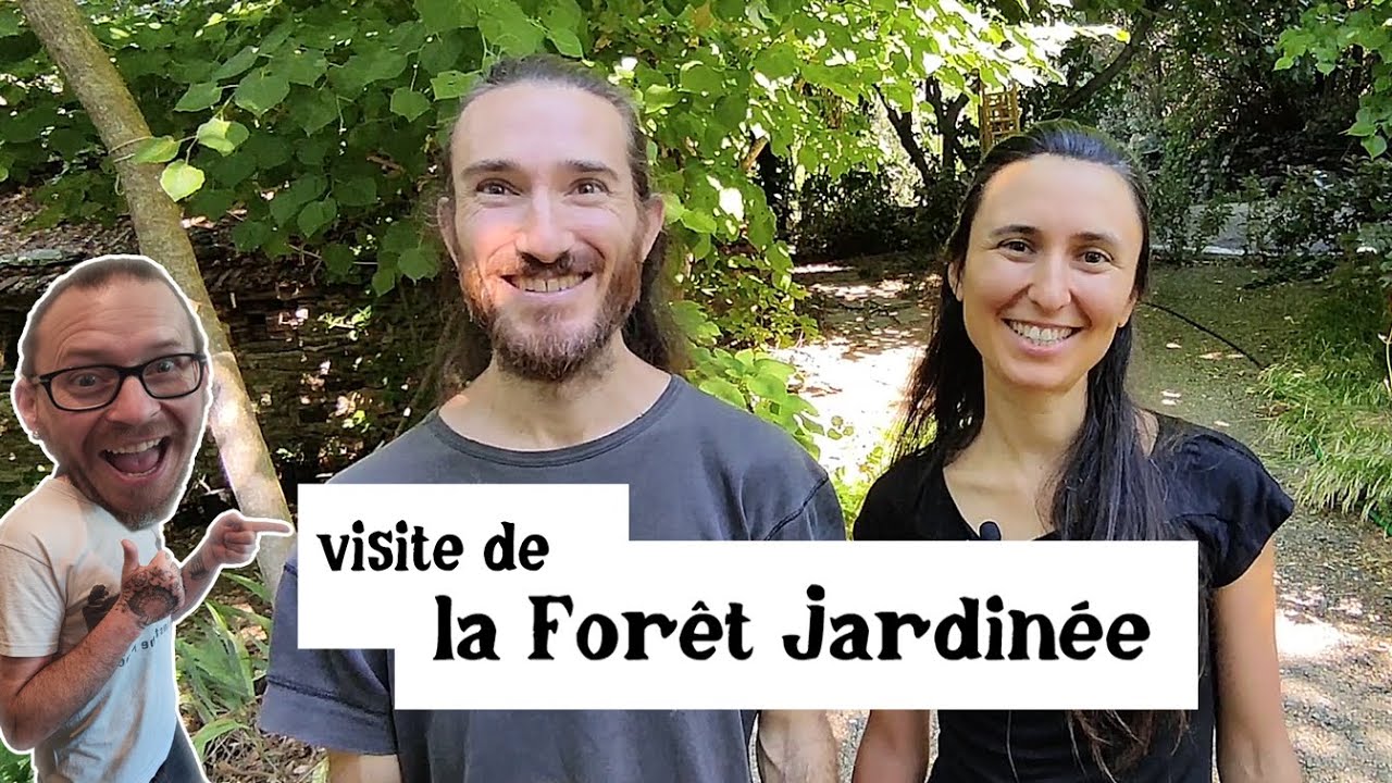 La Forêt Jardinée