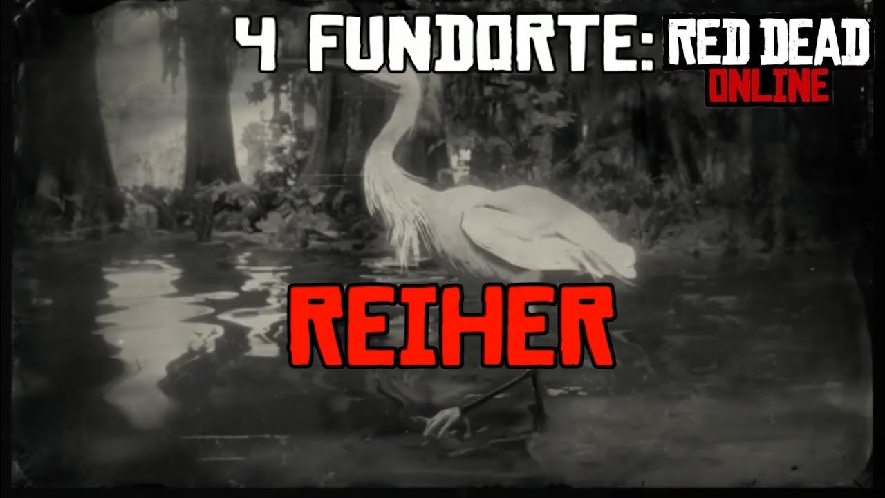 ✪ Red Dead Online | 4  Reiher Fundorte [German] ✪