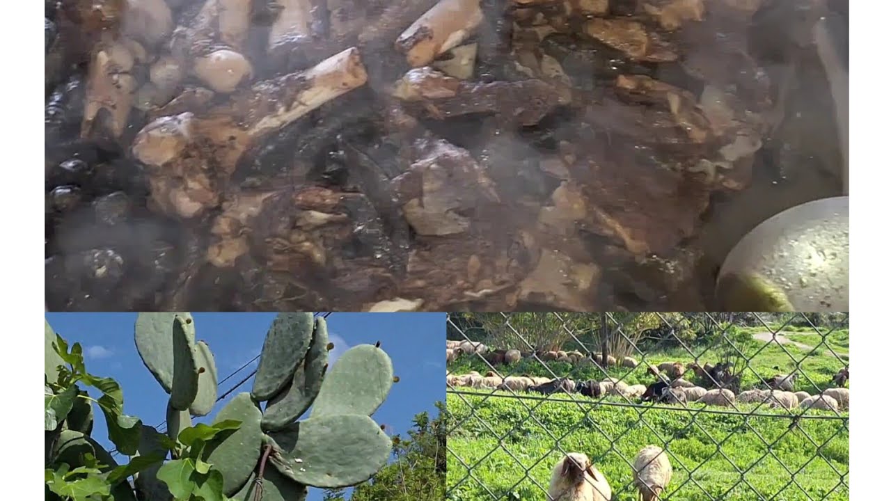 عزمتني سلفتي عالغدا..شي فاخر😋..وأهلا وسهلا بضيوفي نورتونا🥰..حزروا مين ؟؟؟😉😊