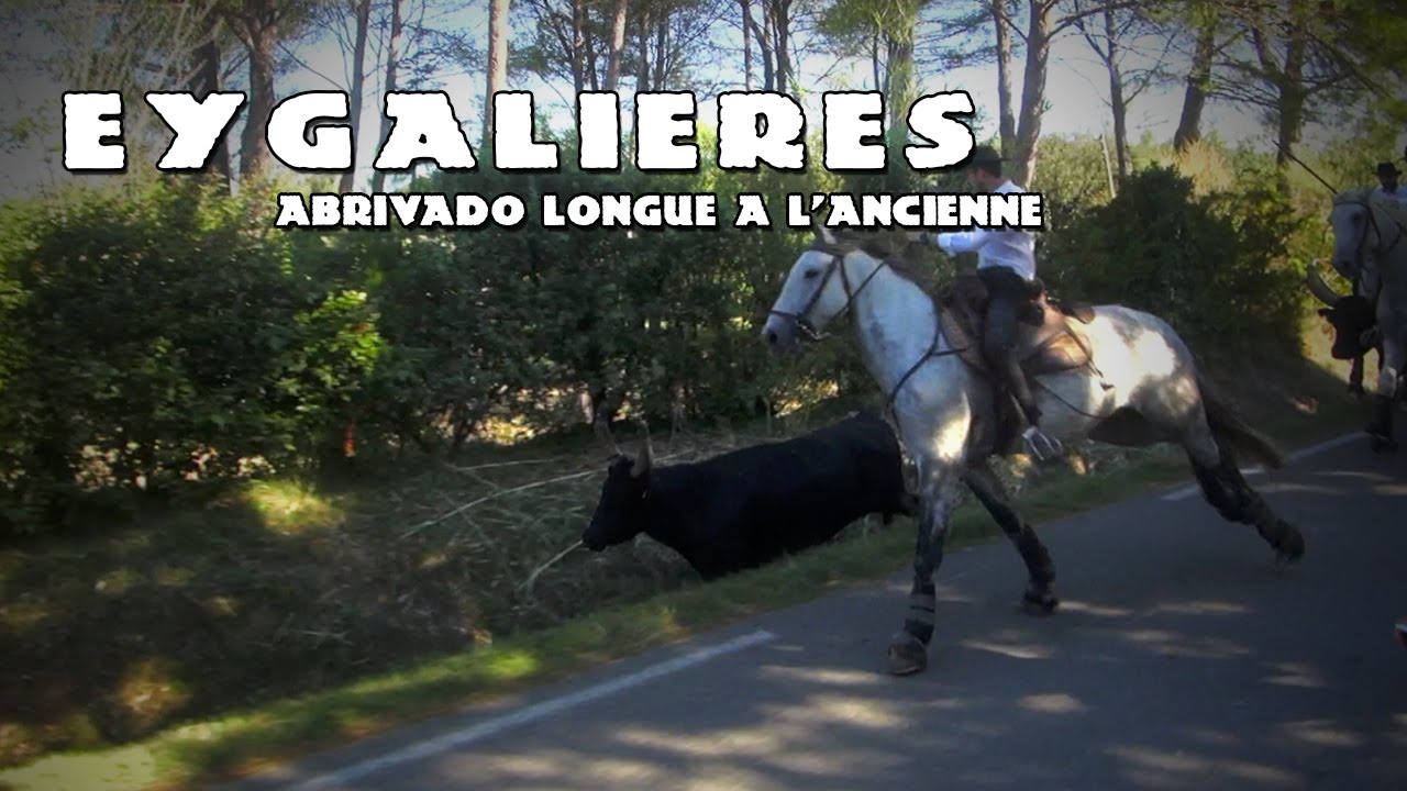 EYGALIERES Abrivado Longue à l'Ancienne 09-10-2021 🐴