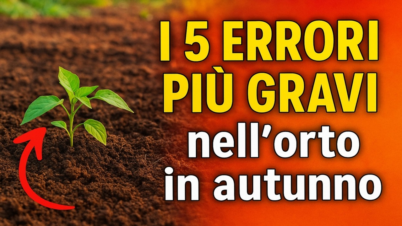 I 5 ERRORI PIÙ GRAVI nellorto in autunno. Evitateli se volete un raccolto di successo!