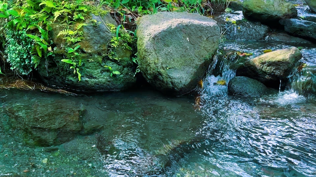 Pure River Flow 🌊 | Water Sounds for Sleep (8 Hours)