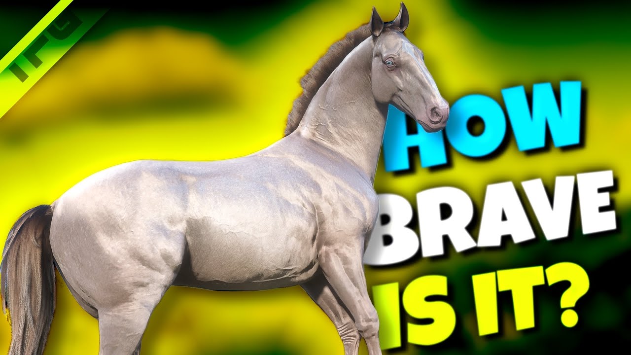 Testing the Limits of the Rare Perlino Andalusian War Horse   |   RDR2