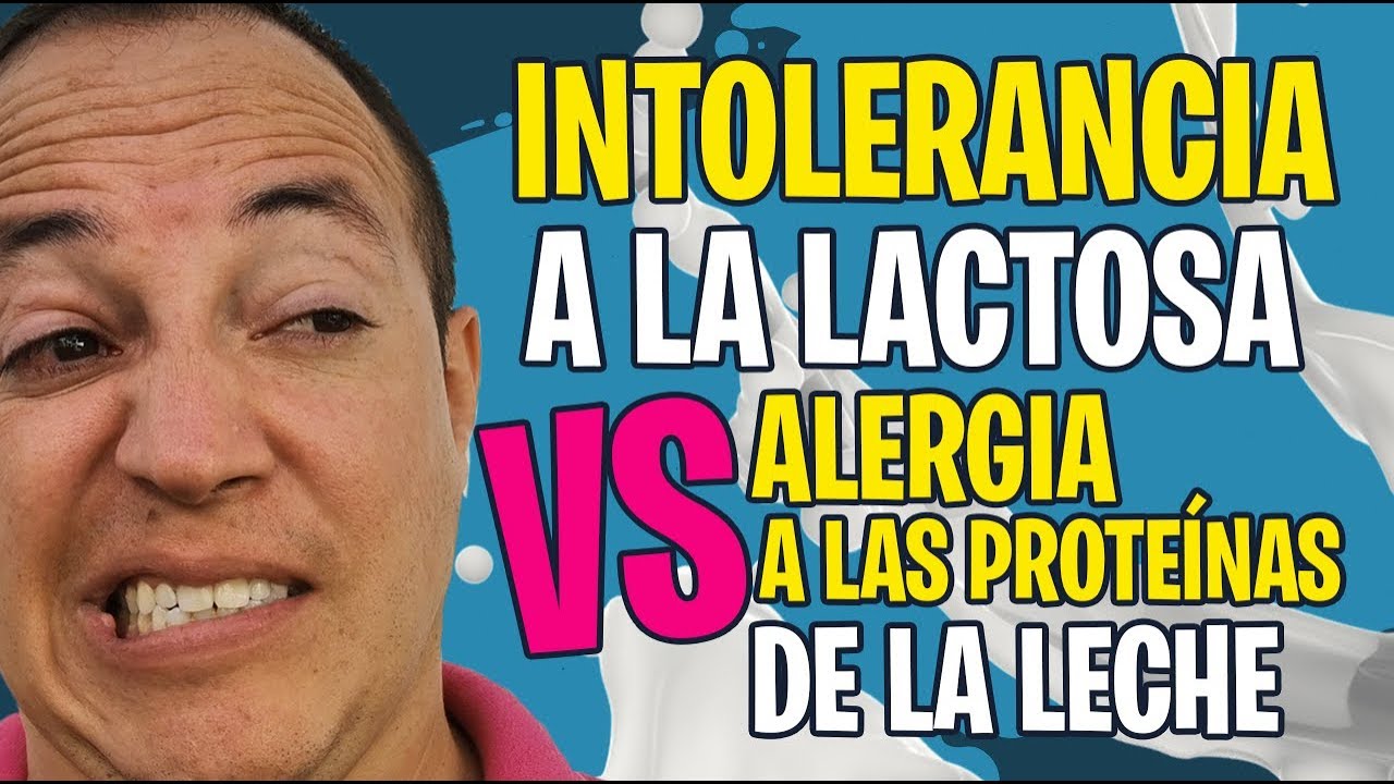 Diferencias entre alergia a las proteínas de la leche de vaca e intolerancia a la lactosa