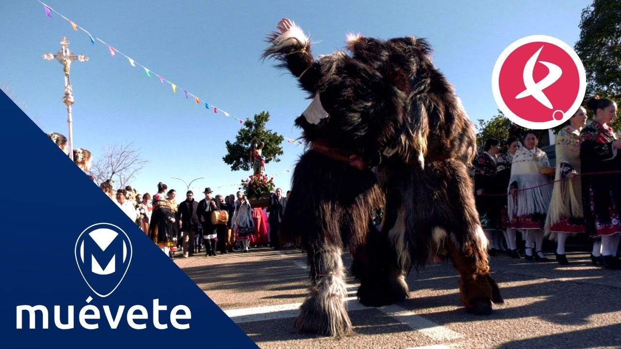 Las Carantoñas invaden de misterio y fervor las calles de Acehúche | | Muévete